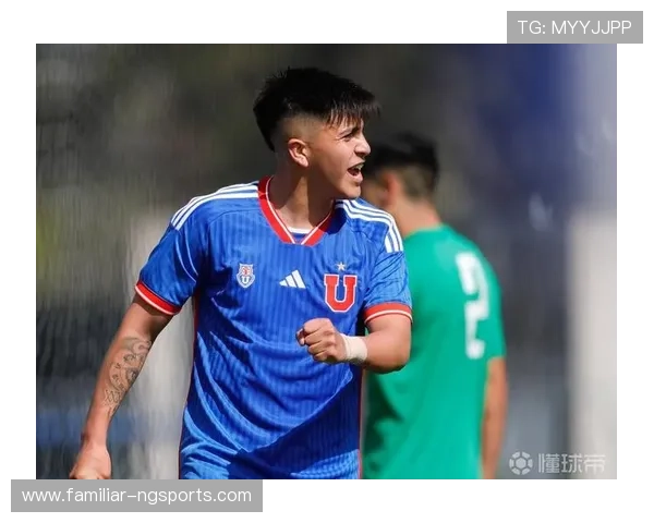 维罗纳足球俱乐部的历史成就与未来发展潜力探讨